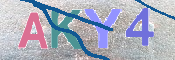 キャプチャ画像