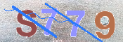 キャプチャ画像