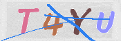 キャプチャ画像