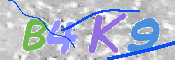 キャプチャ画像