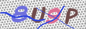キャプチャ画像