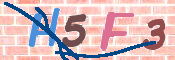 キャプチャ画像