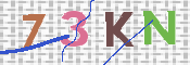 キャプチャ画像
