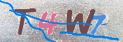 キャプチャ画像