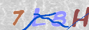 キャプチャ画像