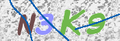 キャプチャ画像