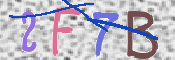 キャプチャ画像