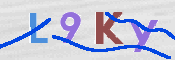 キャプチャ画像