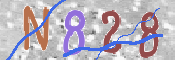 キャプチャ画像