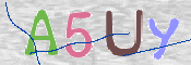 キャプチャ画像