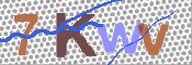 キャプチャ画像