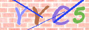 キャプチャ画像