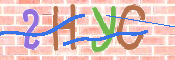 キャプチャ画像