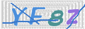 キャプチャ画像
