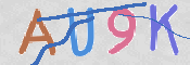 キャプチャ画像