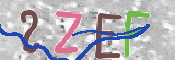 キャプチャ画像