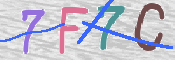 キャプチャ画像