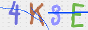 キャプチャ画像