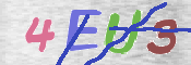 キャプチャ画像