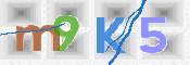 キャプチャ画像