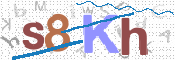 キャプチャ画像