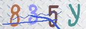 キャプチャ画像