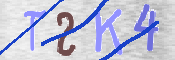 キャプチャ画像