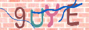 キャプチャ画像