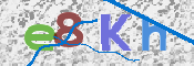 キャプチャ画像