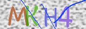 キャプチャ画像