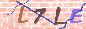 キャプチャ画像