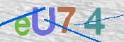 キャプチャ画像