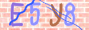 キャプチャ画像