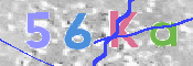 キャプチャ画像