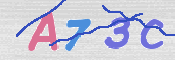 キャプチャ画像