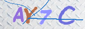 キャプチャ画像