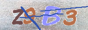 キャプチャ画像