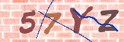 キャプチャ画像