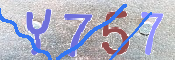 キャプチャ画像