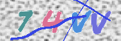 キャプチャ画像