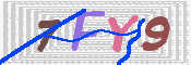 キャプチャ画像