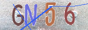 キャプチャ画像