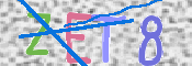 キャプチャ画像
