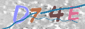 キャプチャ画像