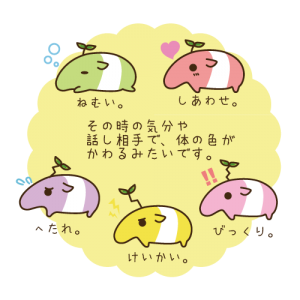 ばむくん説明_02