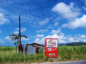 ishigaki-island-1276561_1280