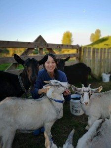 Playing with lovely goats