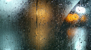 c-g-JgDUVGAXsso-unsplash
