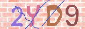 キャプチャ画像