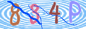 キャプチャ画像